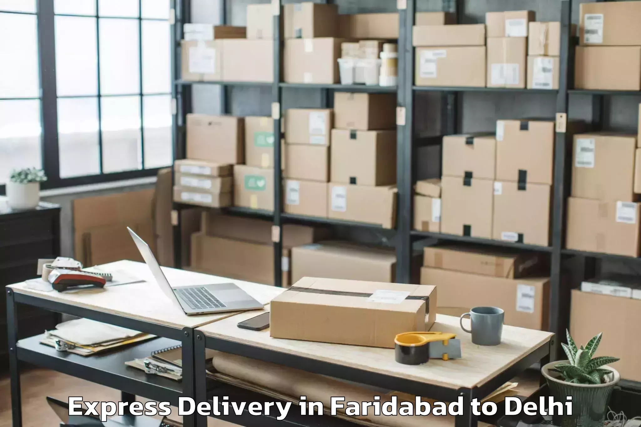 Book Faridabad to Chanakya Puri Express Delivery